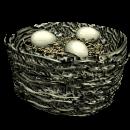 Yumurtanın niçin bir tarafı yuvarlak, diğer tarafı sivridir?