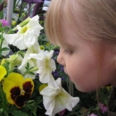 Çiçeklerin De Canı Var