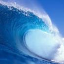 Asimo'ya Alkışlar, Ya Size?