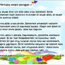 Pide Sırası