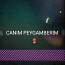 Efendimiz'e Benzemek