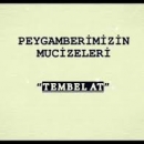 Tembel At