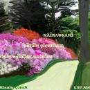 Kainattaki Bütün Çiçekler Allah'ın Mührüdür Karikatürü