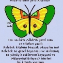 Kelebek Kitabı