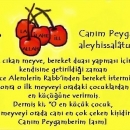 Küçük Çocuk, Meyve ve Efendimiz