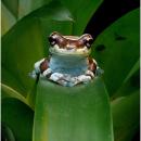 Toplanın! Yarışma Sonuçlarını Açıklıyorum Arkadaşlaaar