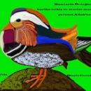 Mandarin Ördeği