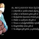 Mevlana'dan Sözler