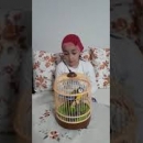 Kuşlardan Tevekkül Dersi Alabilir Miyiz ?